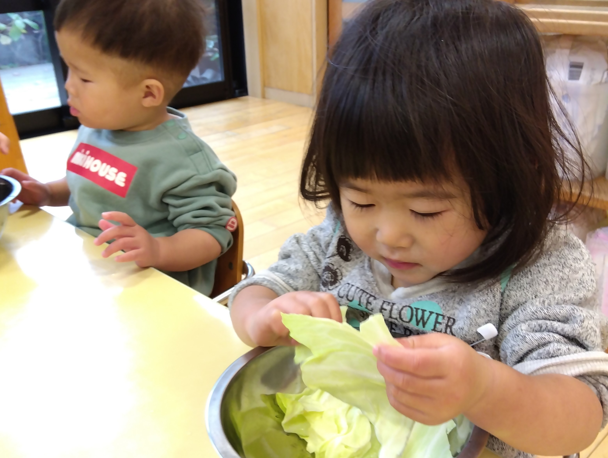 キャベツをちぎる子ども