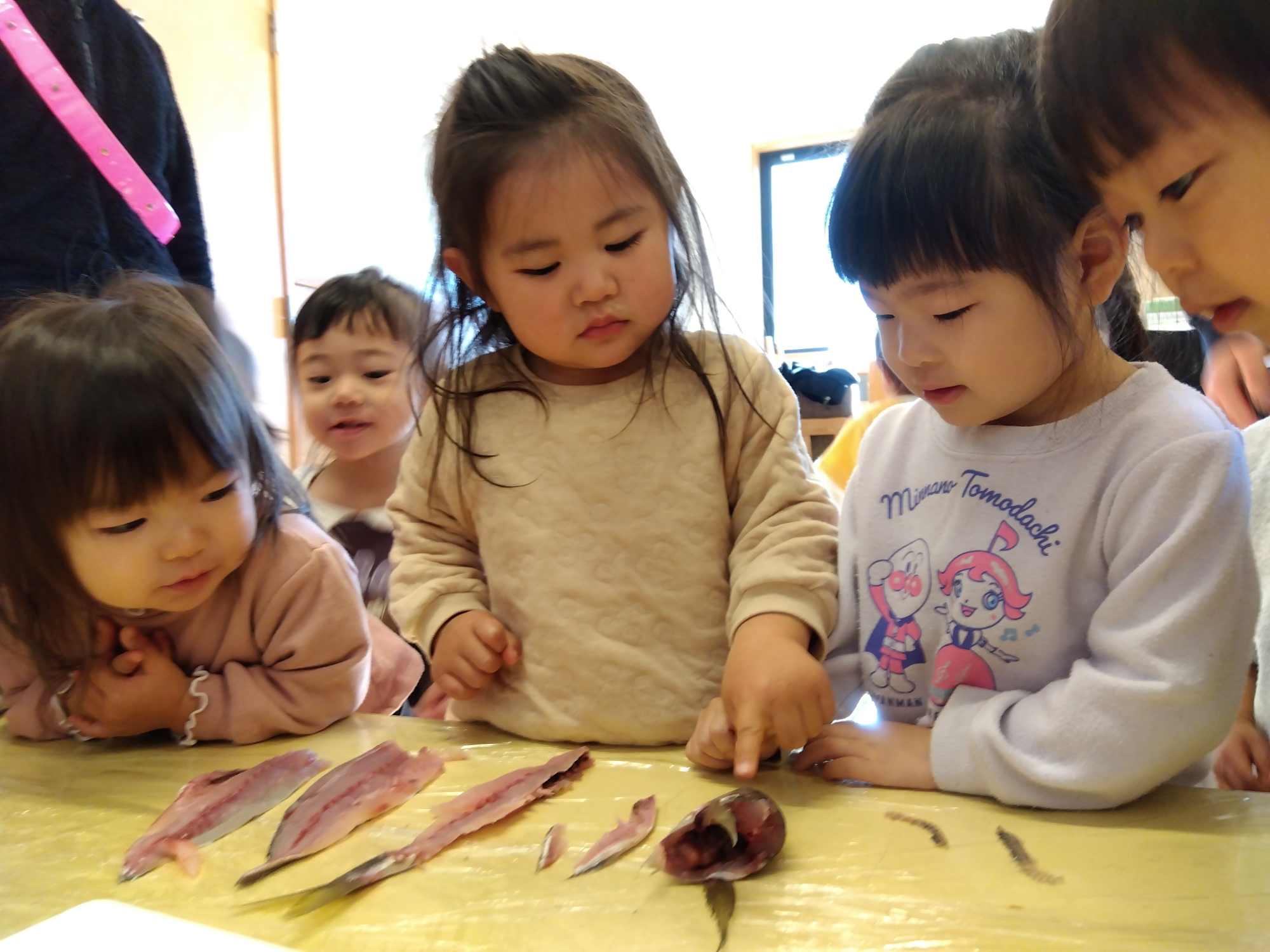 三枚おろしになった鯵を見る子どもたち