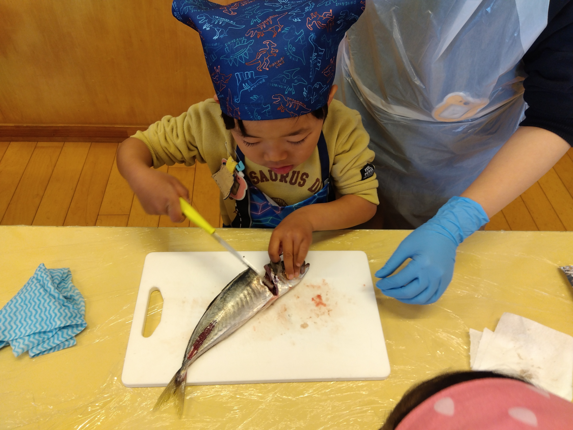 鯵の頭を落とす子ども