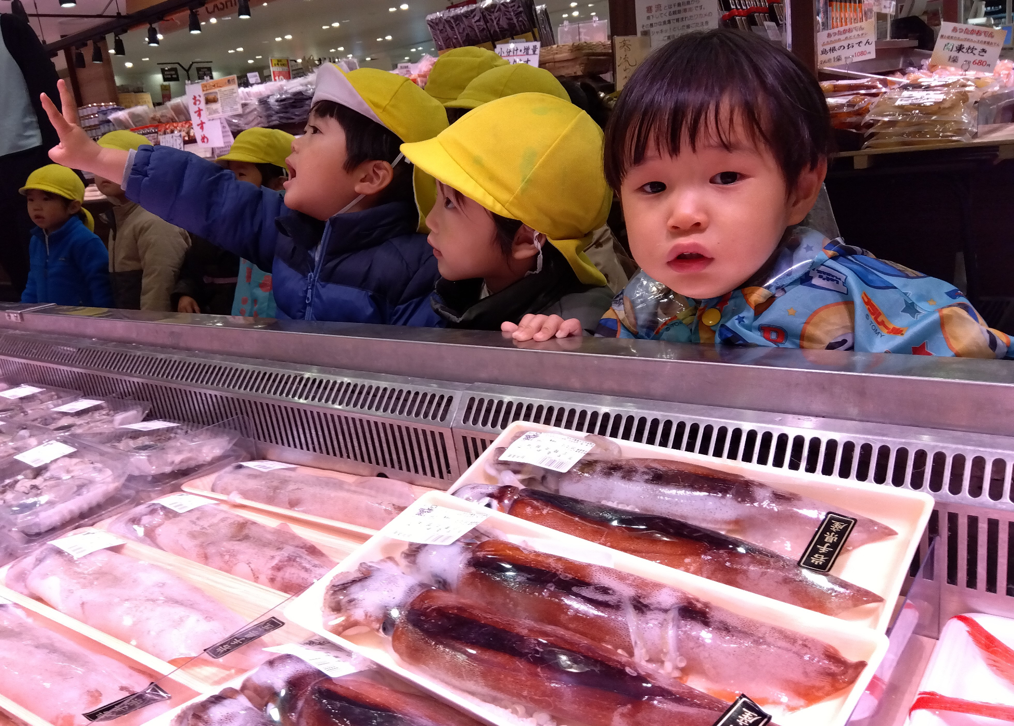 魚を眺める子ども