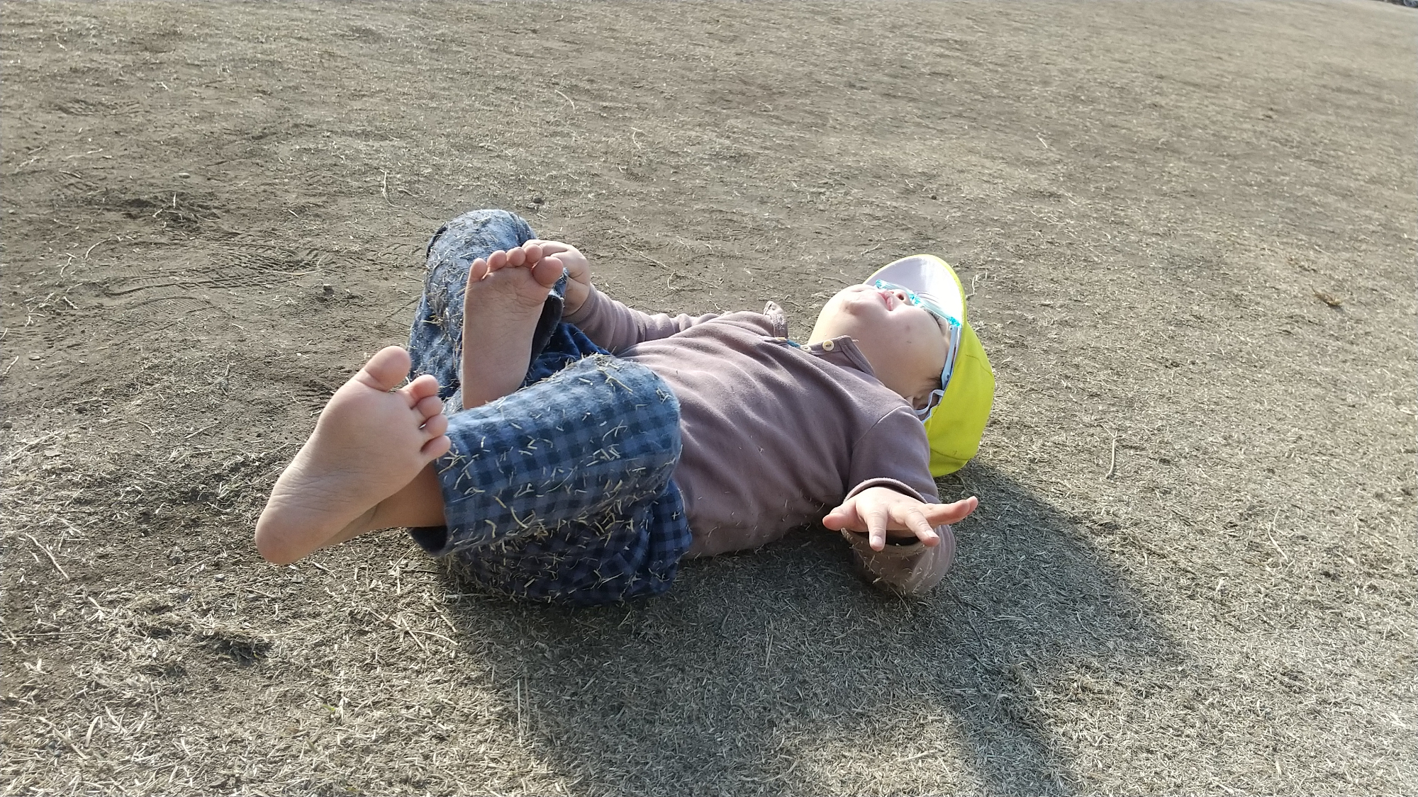 芝生に寝転ぶ子ども