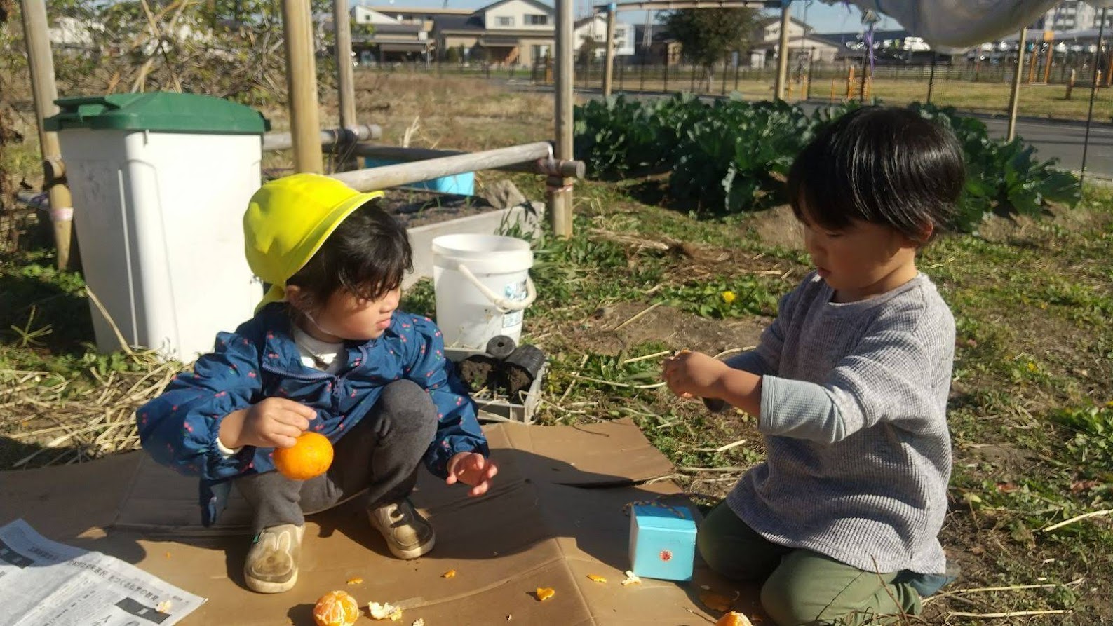 みかんをむく子ども