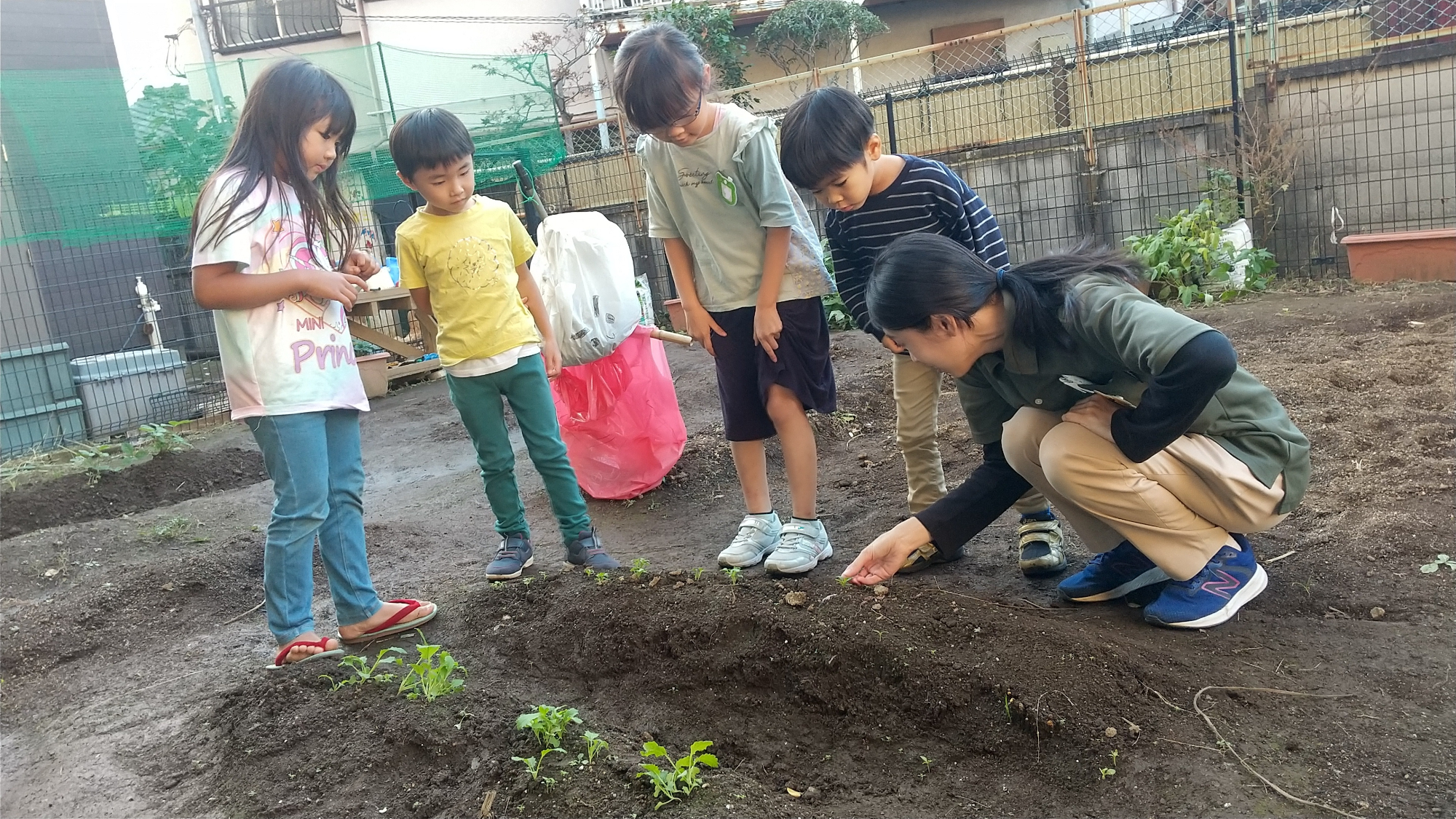 芽が出てきた野菜