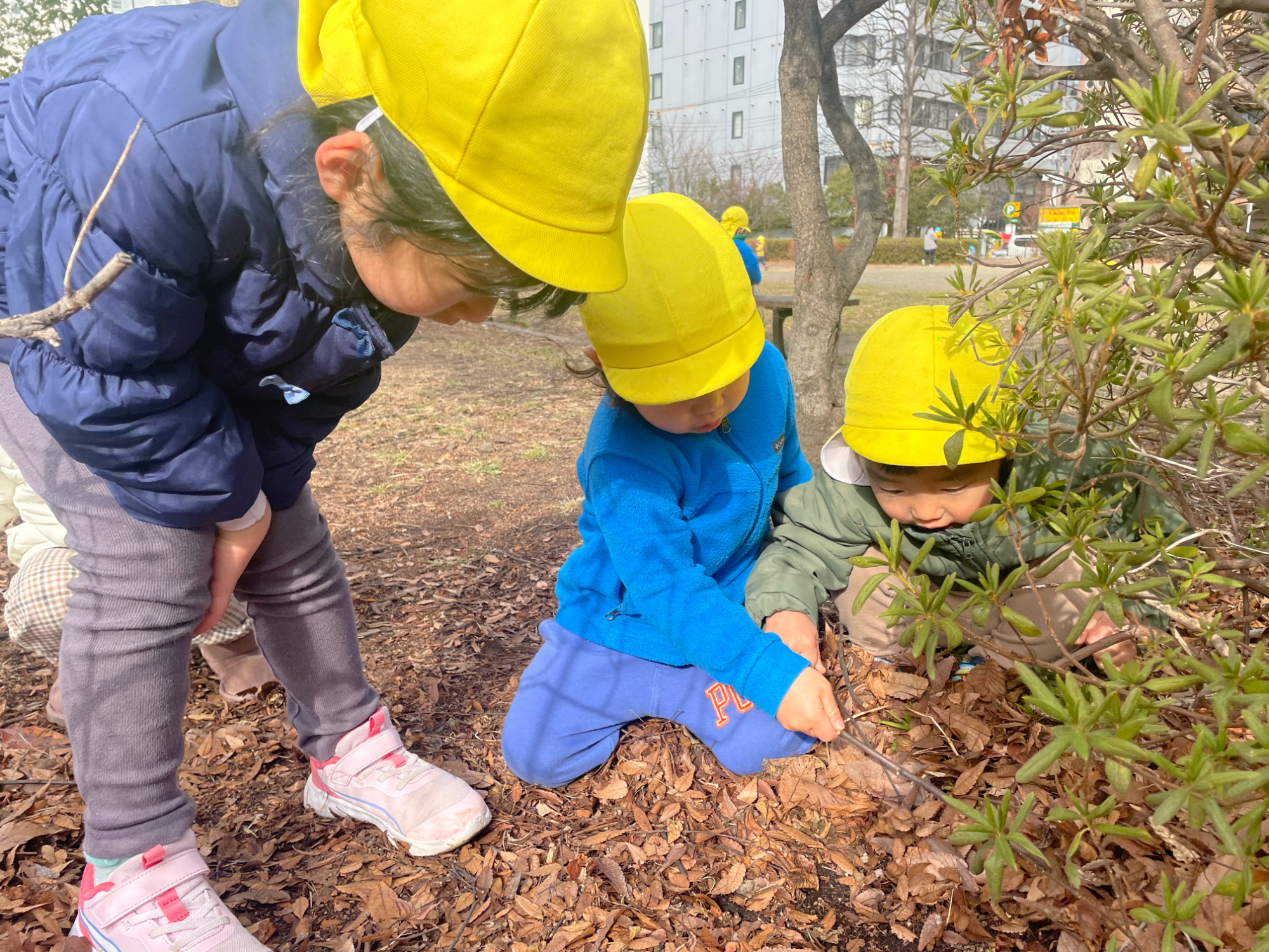落ち葉をかき分ける子どもたち