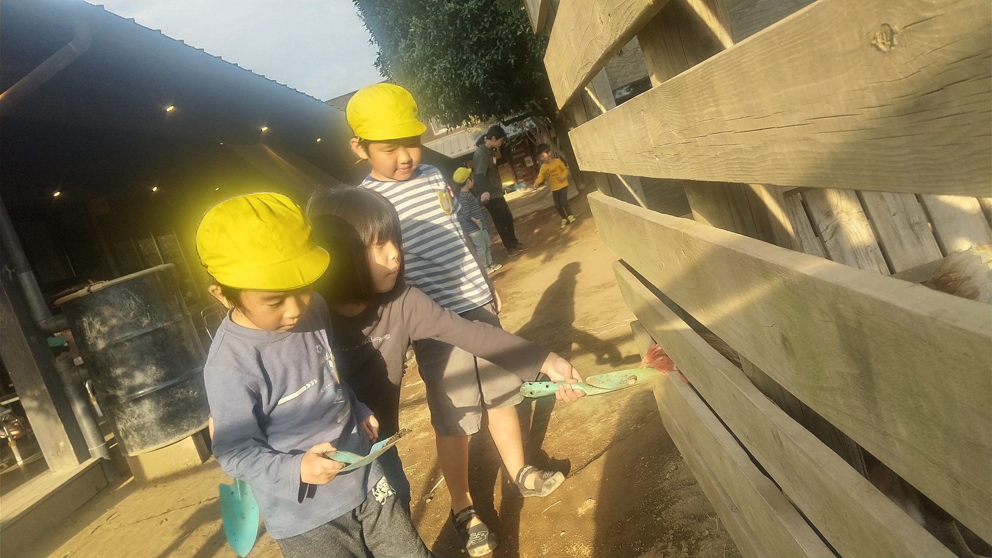 鶏に餌やりをする子どもたち