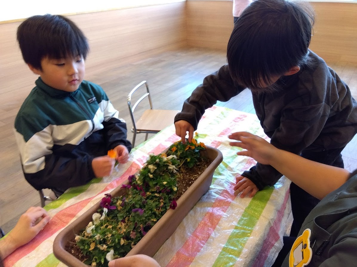 花壇を観察する様子