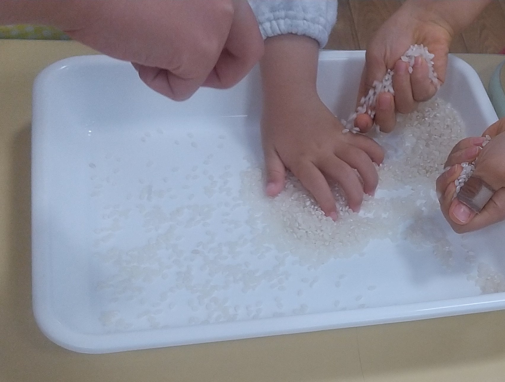 お米を触る子ども