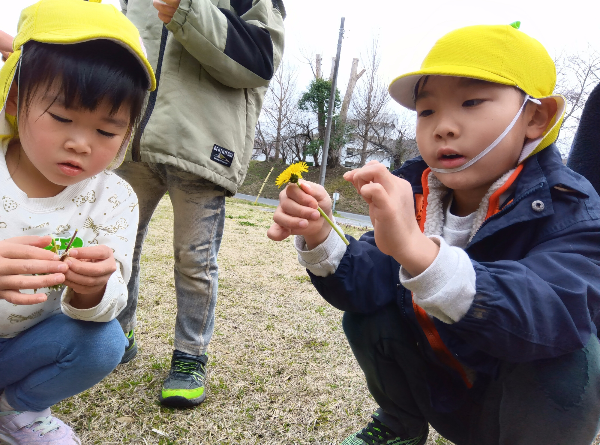 草花を集める子どもたち