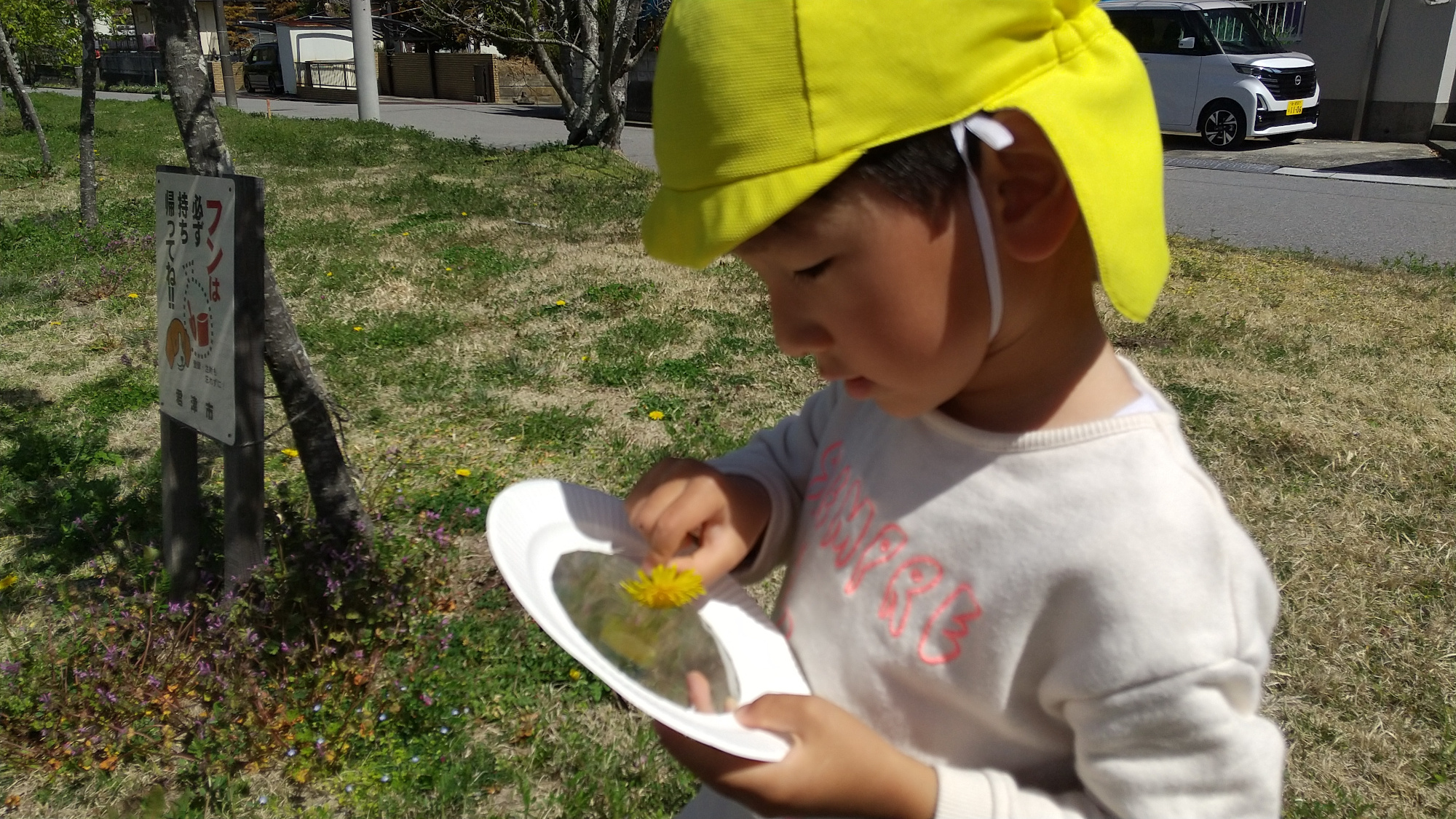OPPテープに草花を貼り付ける子ども