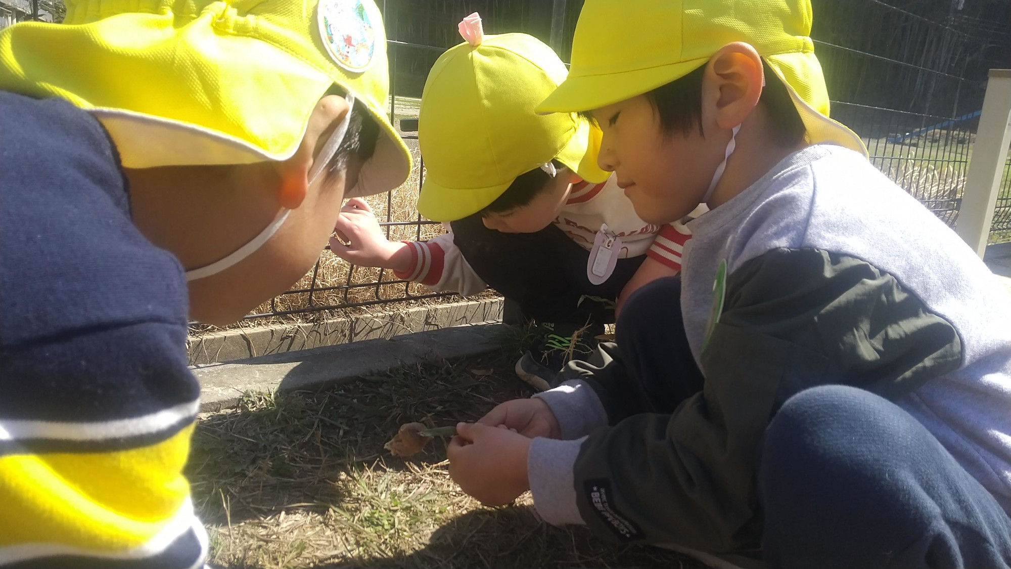 草花を集める子どもたち