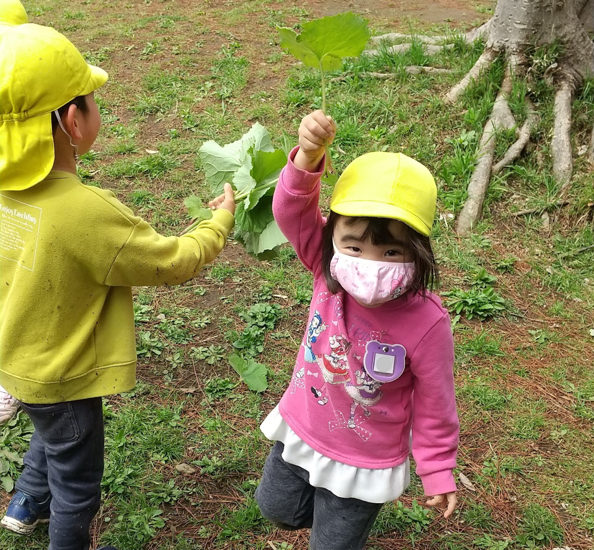 大きい葉っぱで遊ぶ子どもたち