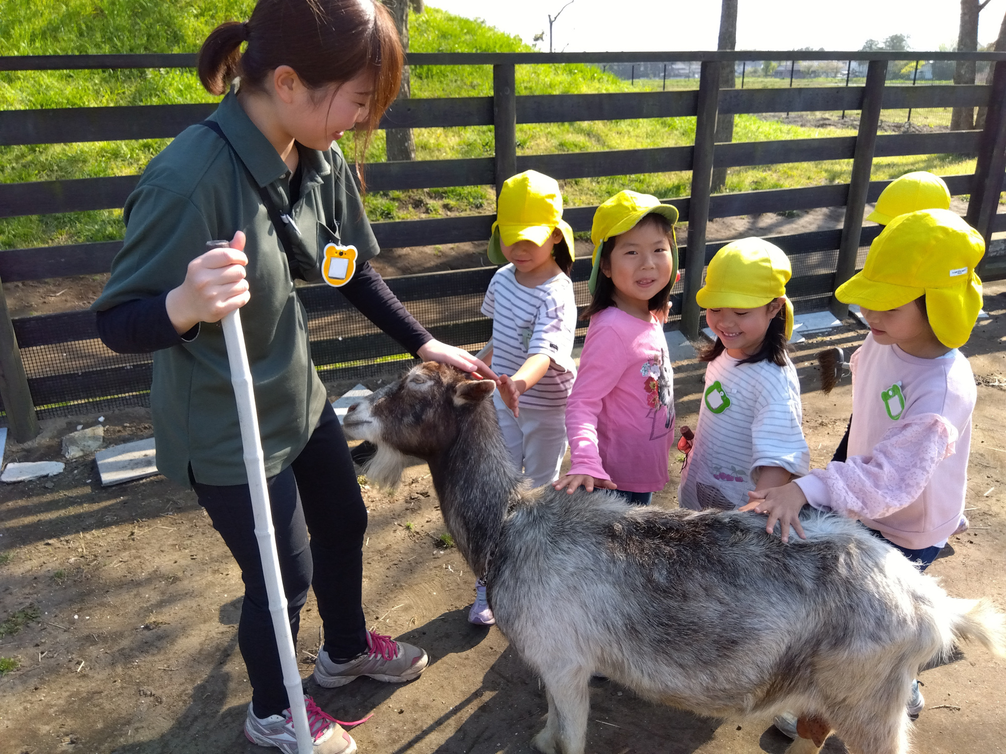 園児たちとハナちゃん