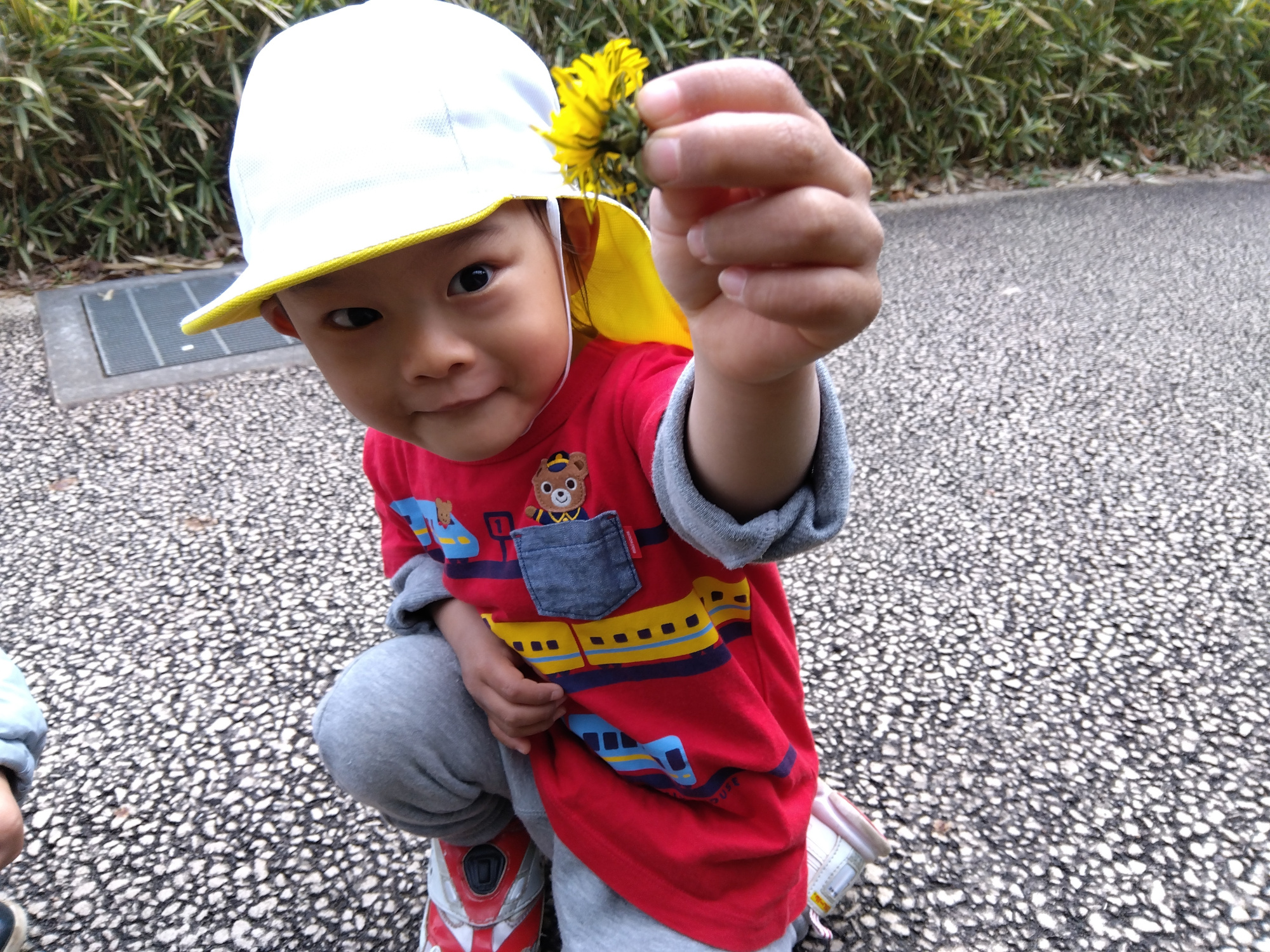 タンポポを摘む子ども