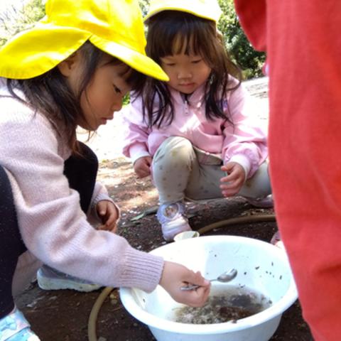 洗面器に入れた水をスプーンですくって遊ぶ子どもたち