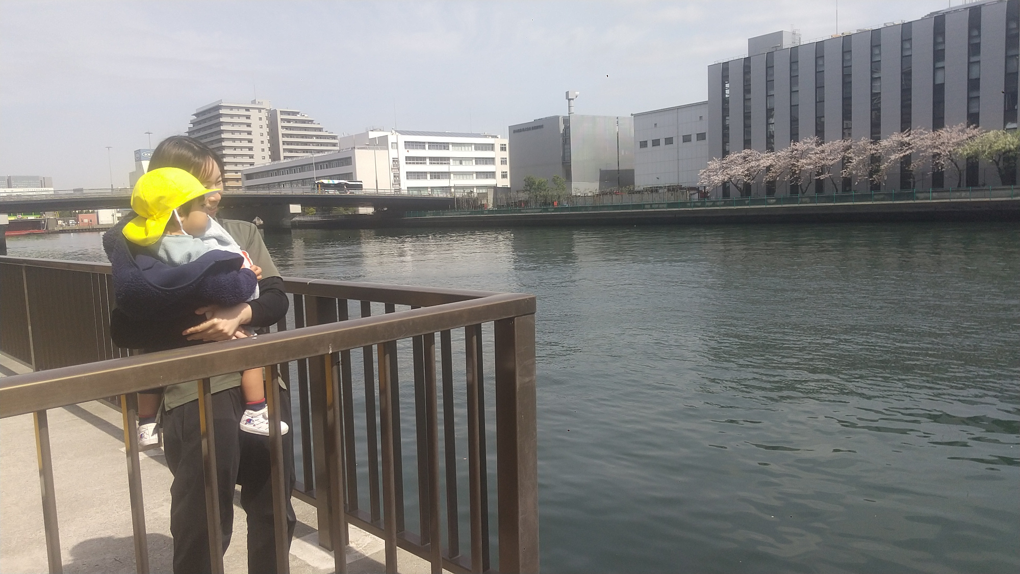 抱っこをされて散歩を楽しむ1歳の新入園児の様子