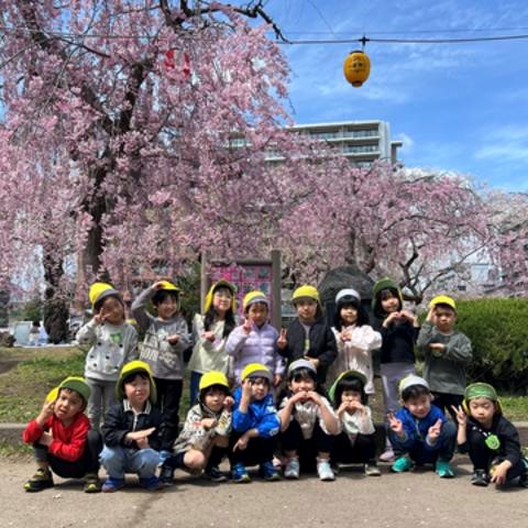 満開の桜の木の下での記念写真