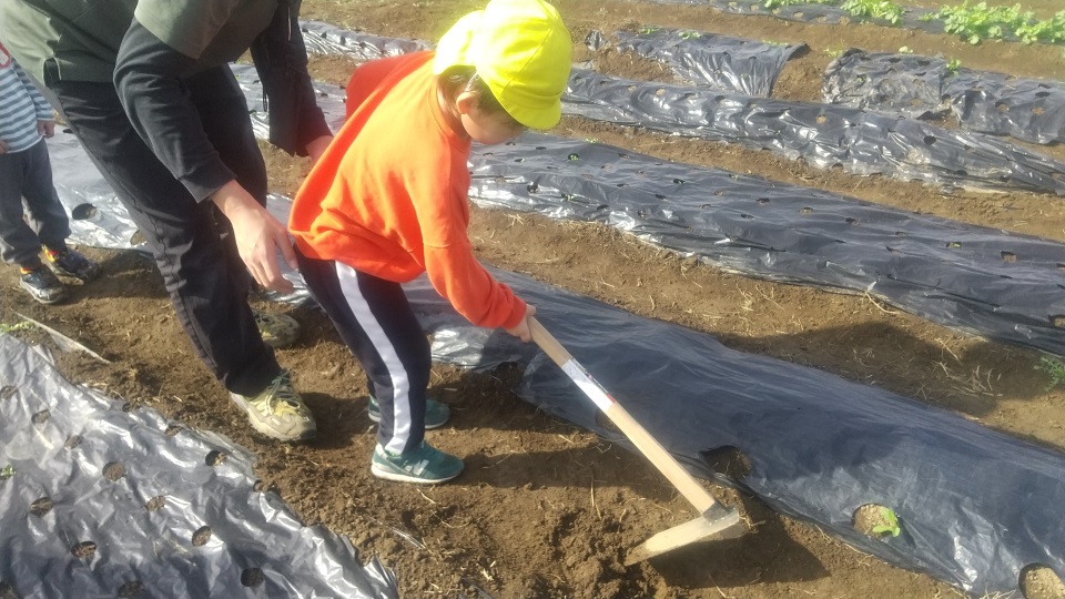 鍬を使って畑を耕す子ども
