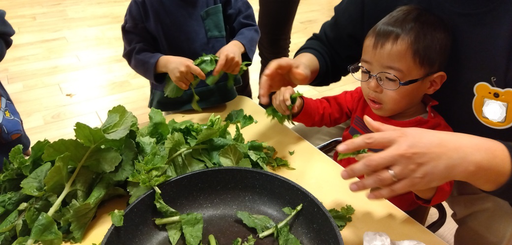 はつか大根をちぎって調理する子どもたち
