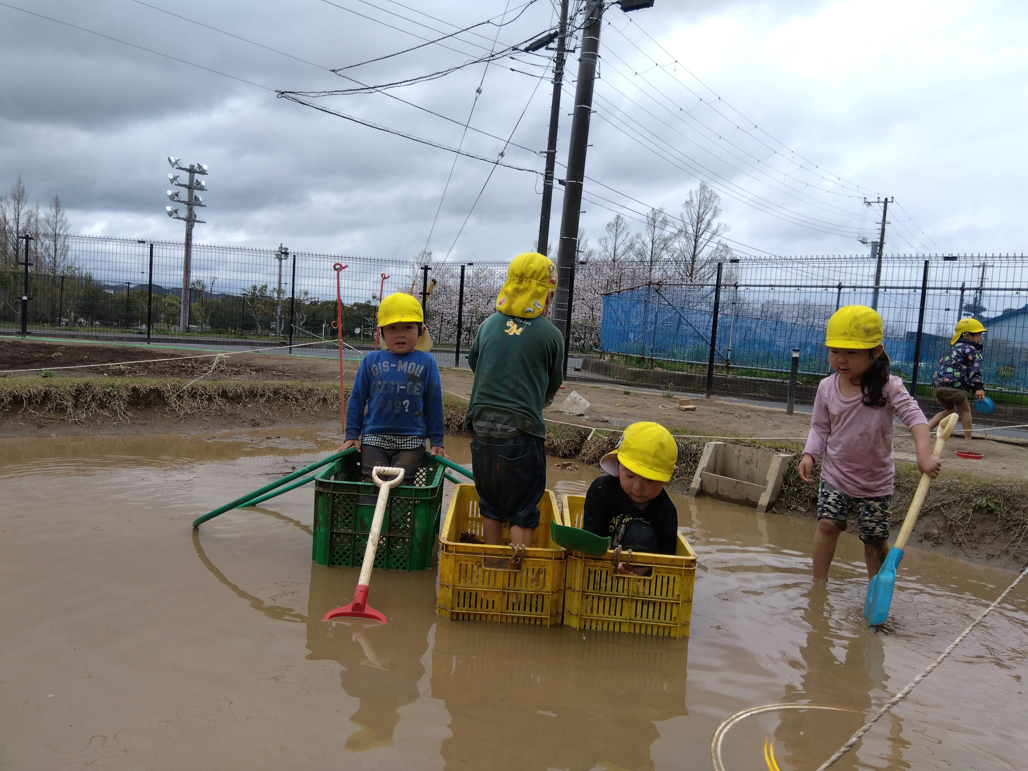 園庭の田んぼで泥遊びをする子どもたち