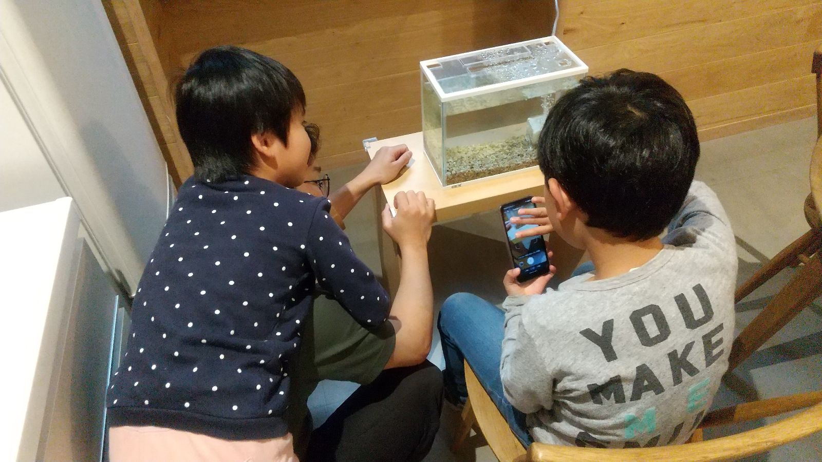 めだかを眺める子どもたち