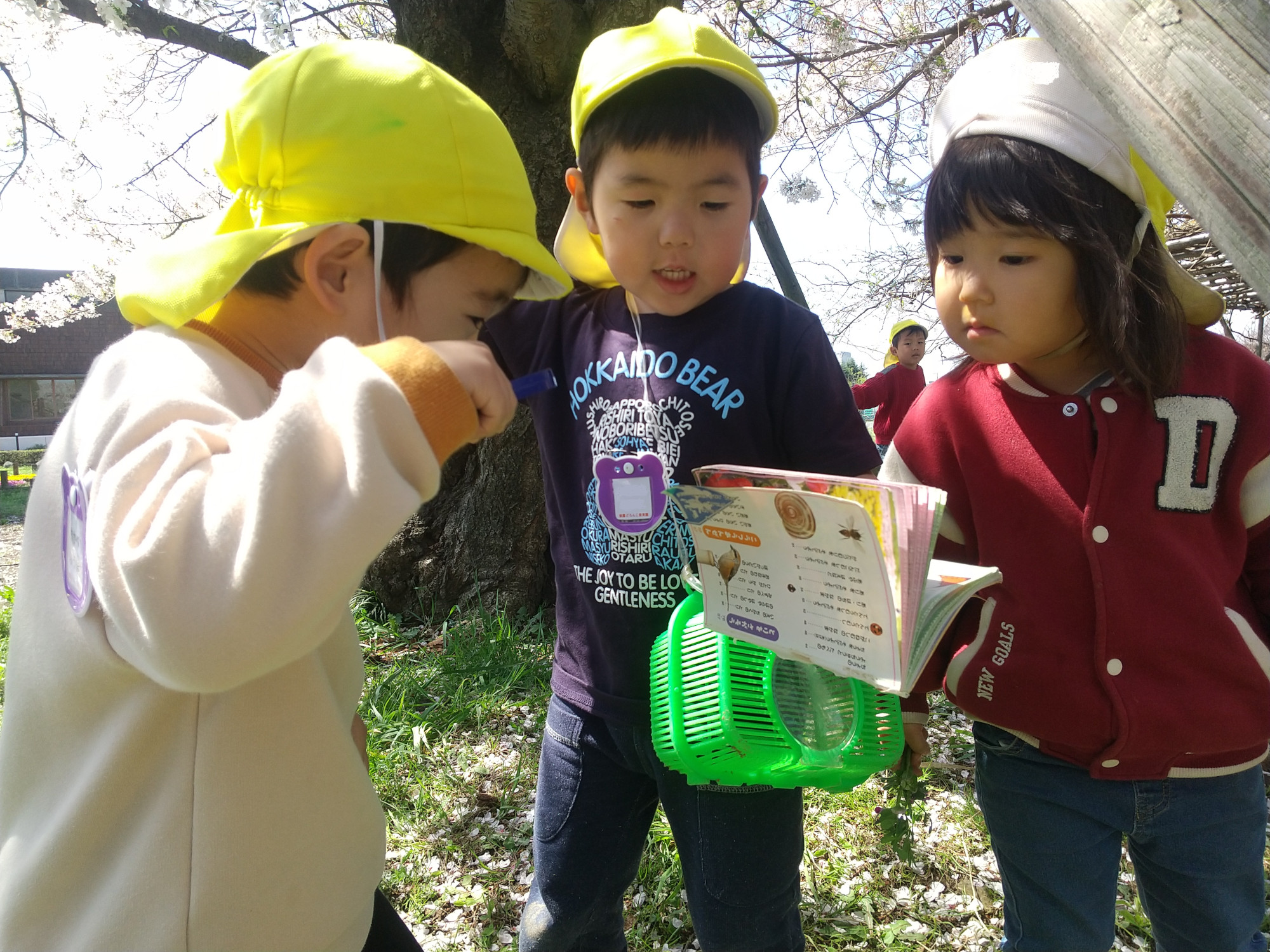 幼児が戸外で虫取りをしている様子