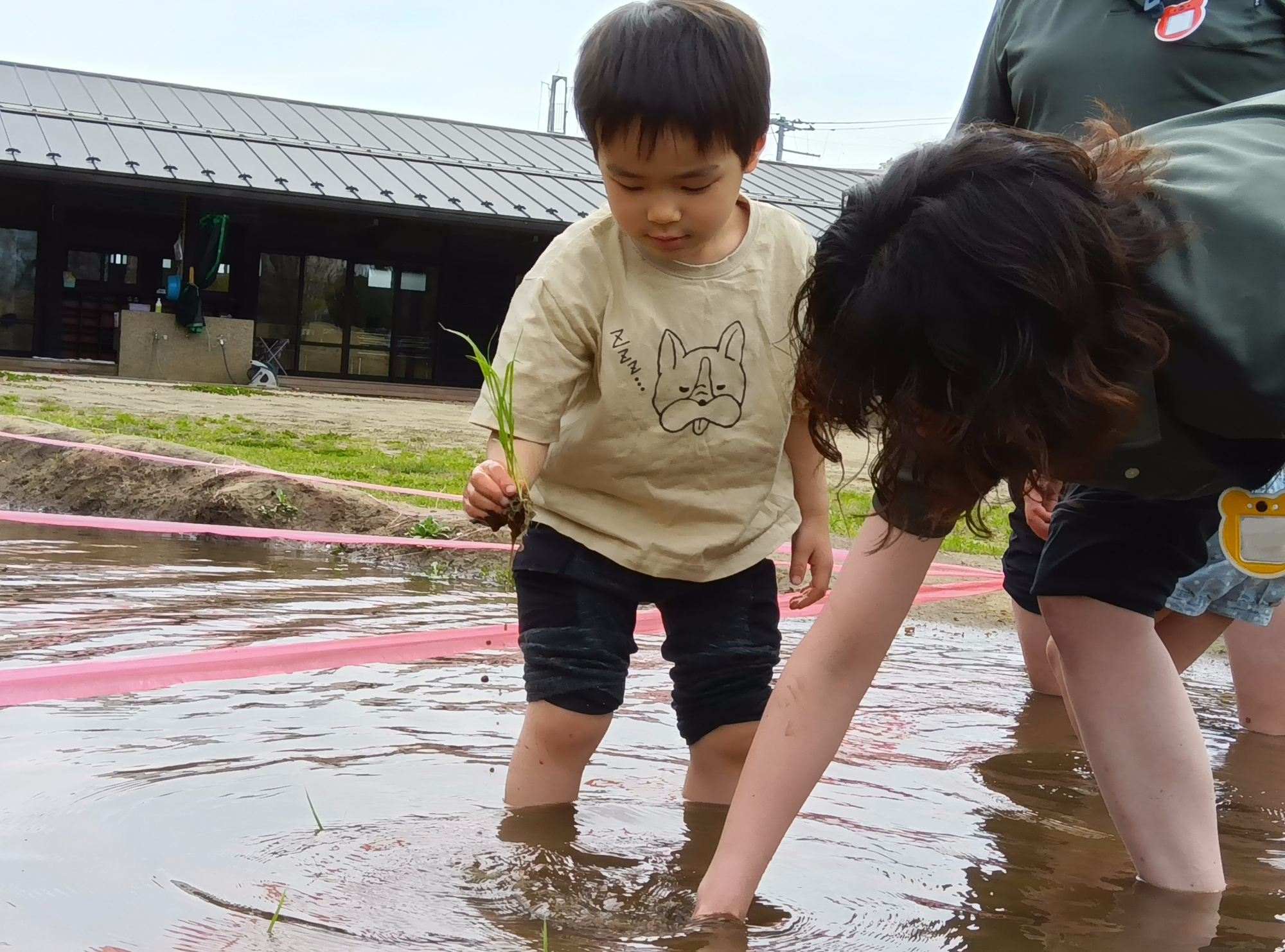 田んぼに入る子ども