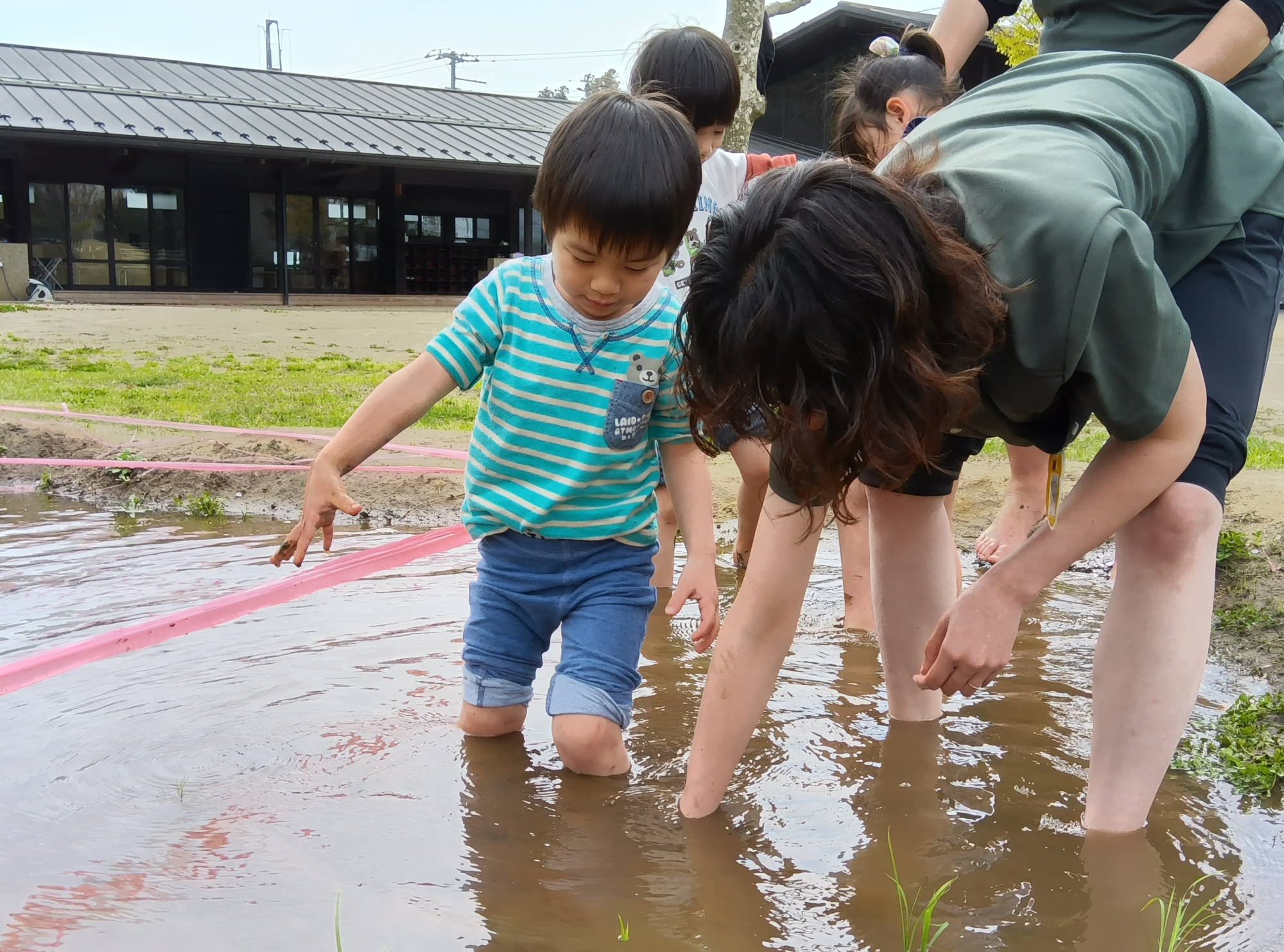 田んぼに入る子どもたち