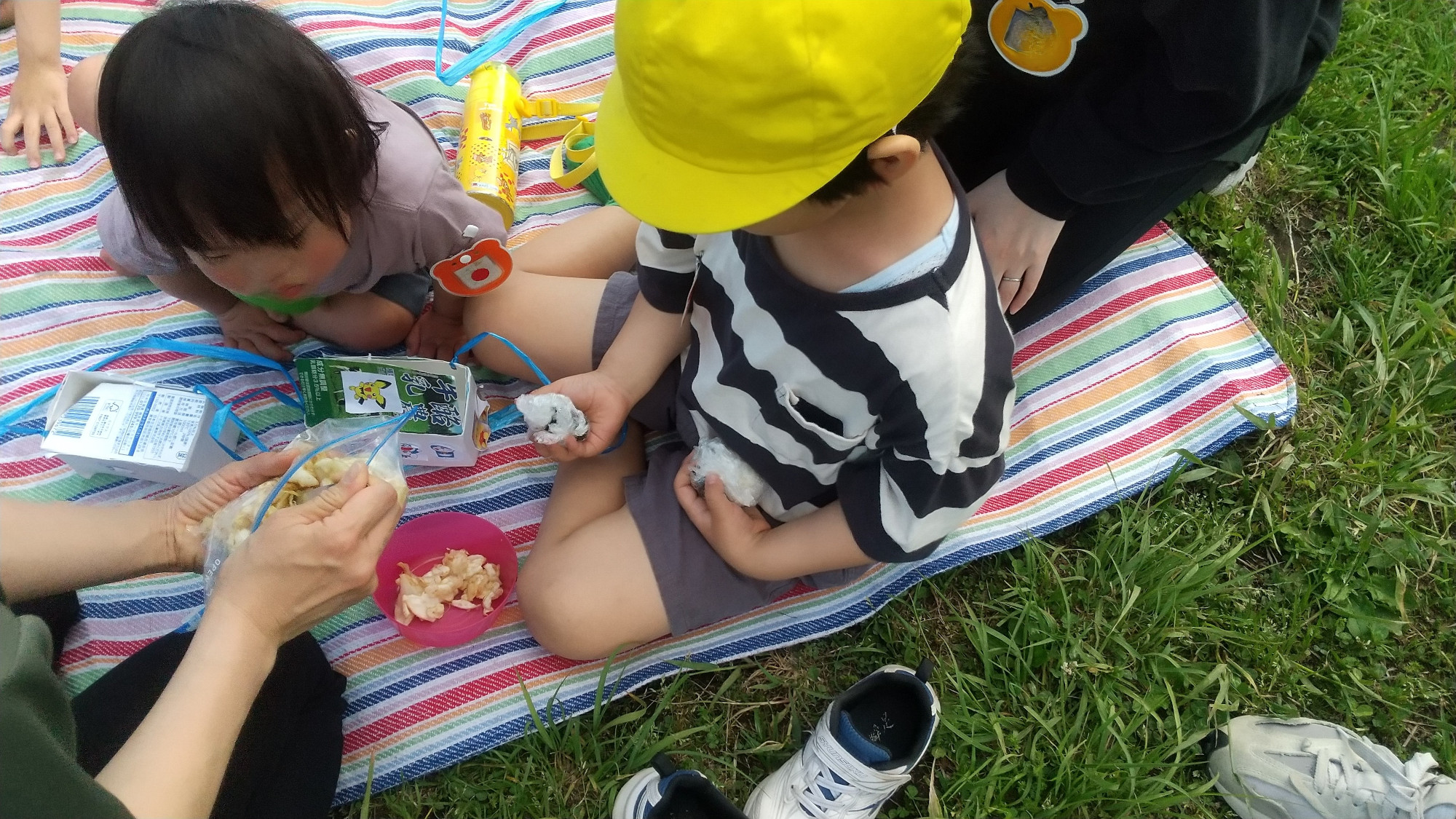 作ったお弁当を公園で食べる子どもたち