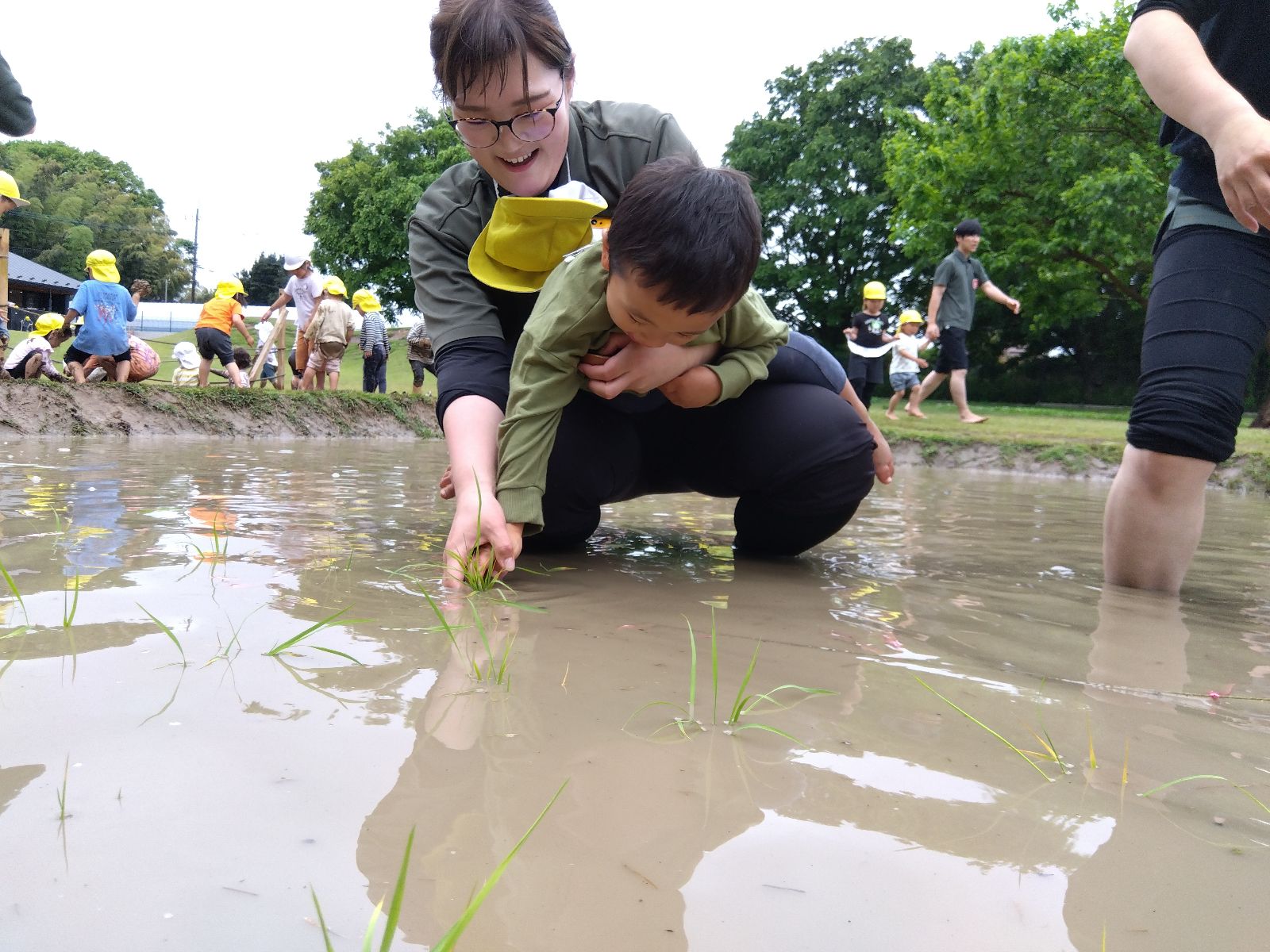 スタッフと一緒に田植えをする子ども