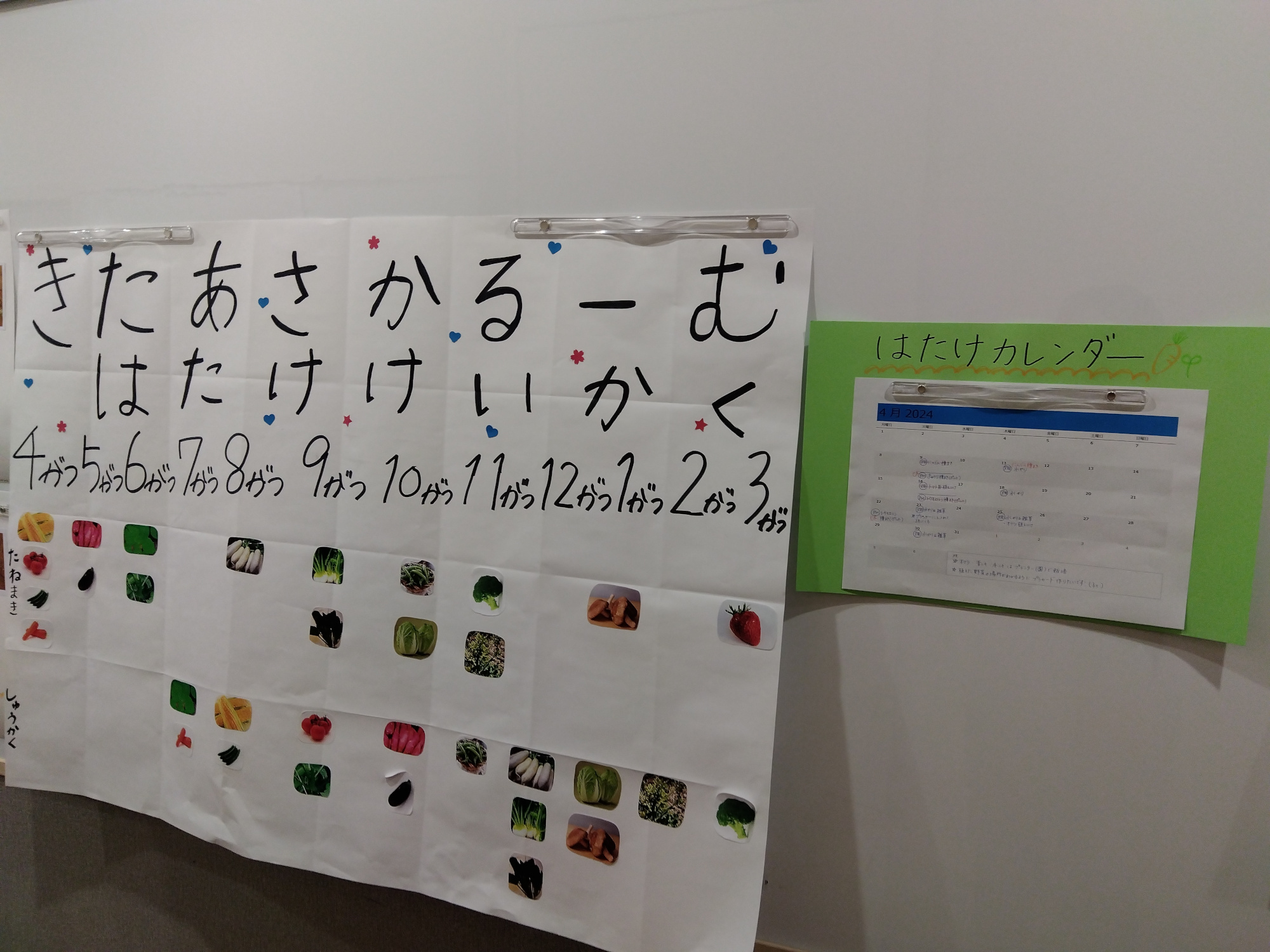 北朝霞ルームの畑の計画表