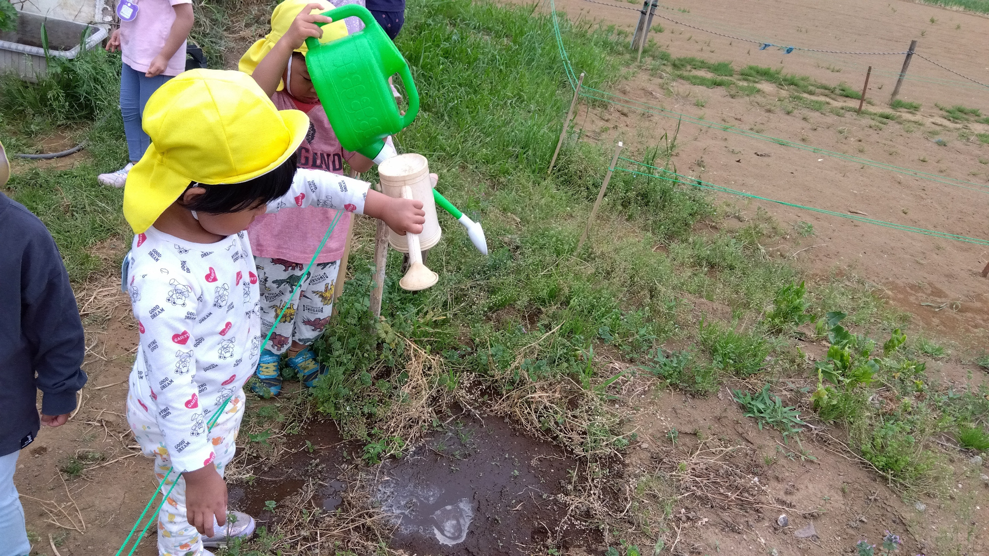 畑の一部に水やりをしている様子