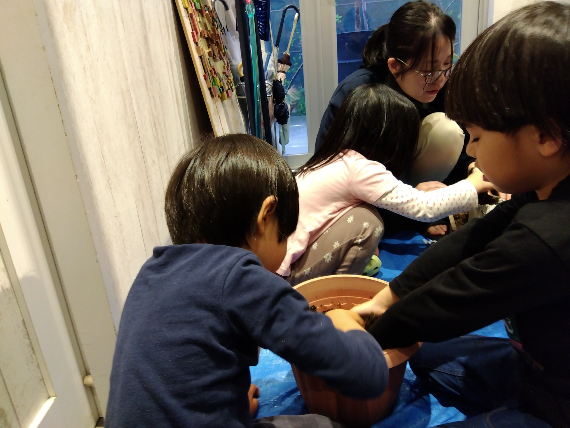 工夫して苗木をプランターに移行する子どもの様子