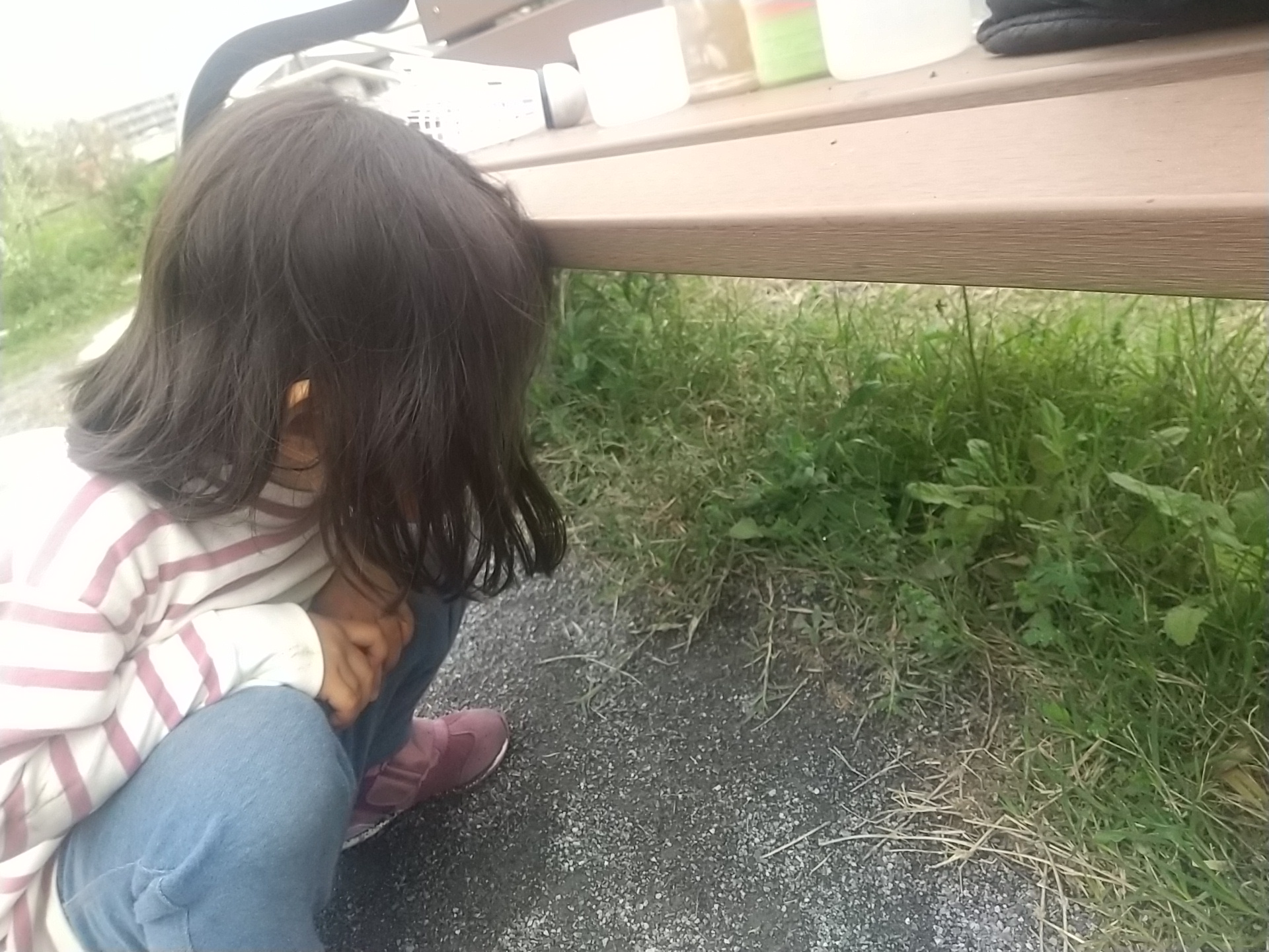 草むらの中に虫がいないか探す子ども
