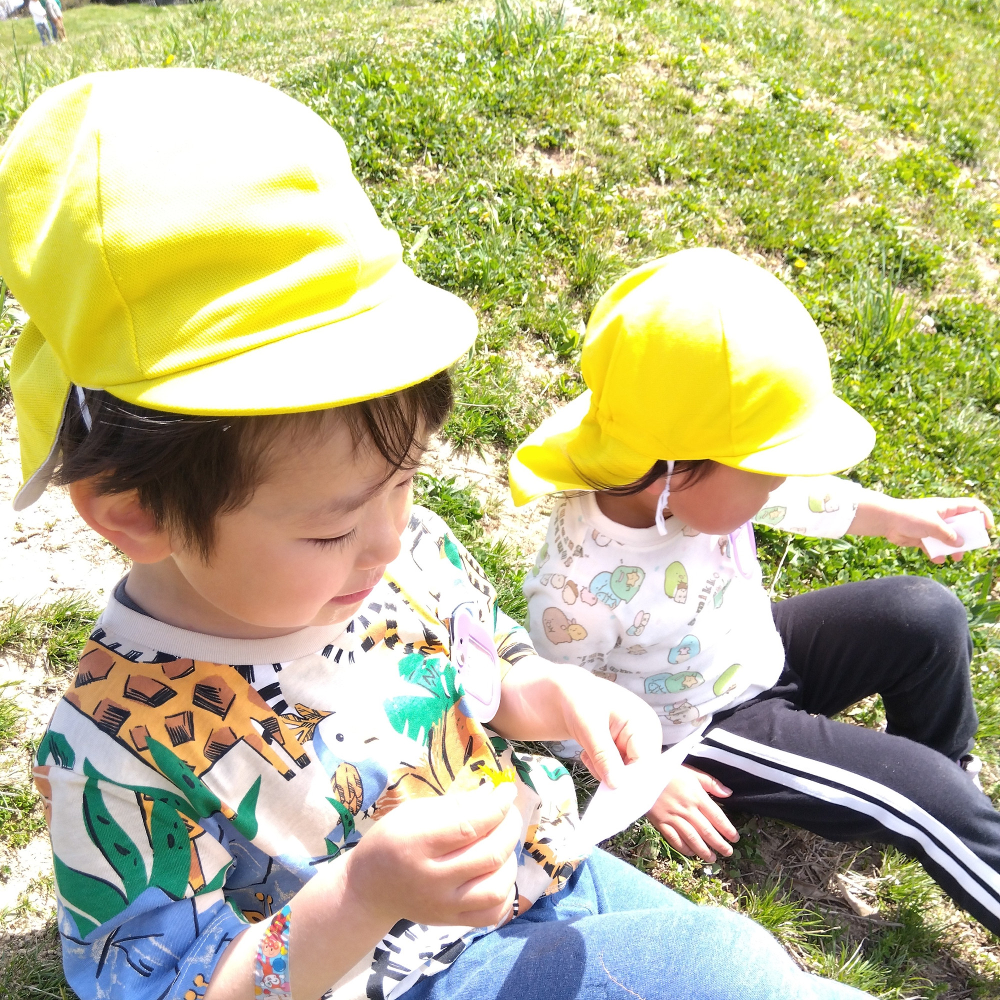 たんぽぽで遊ぶ子どもの様子