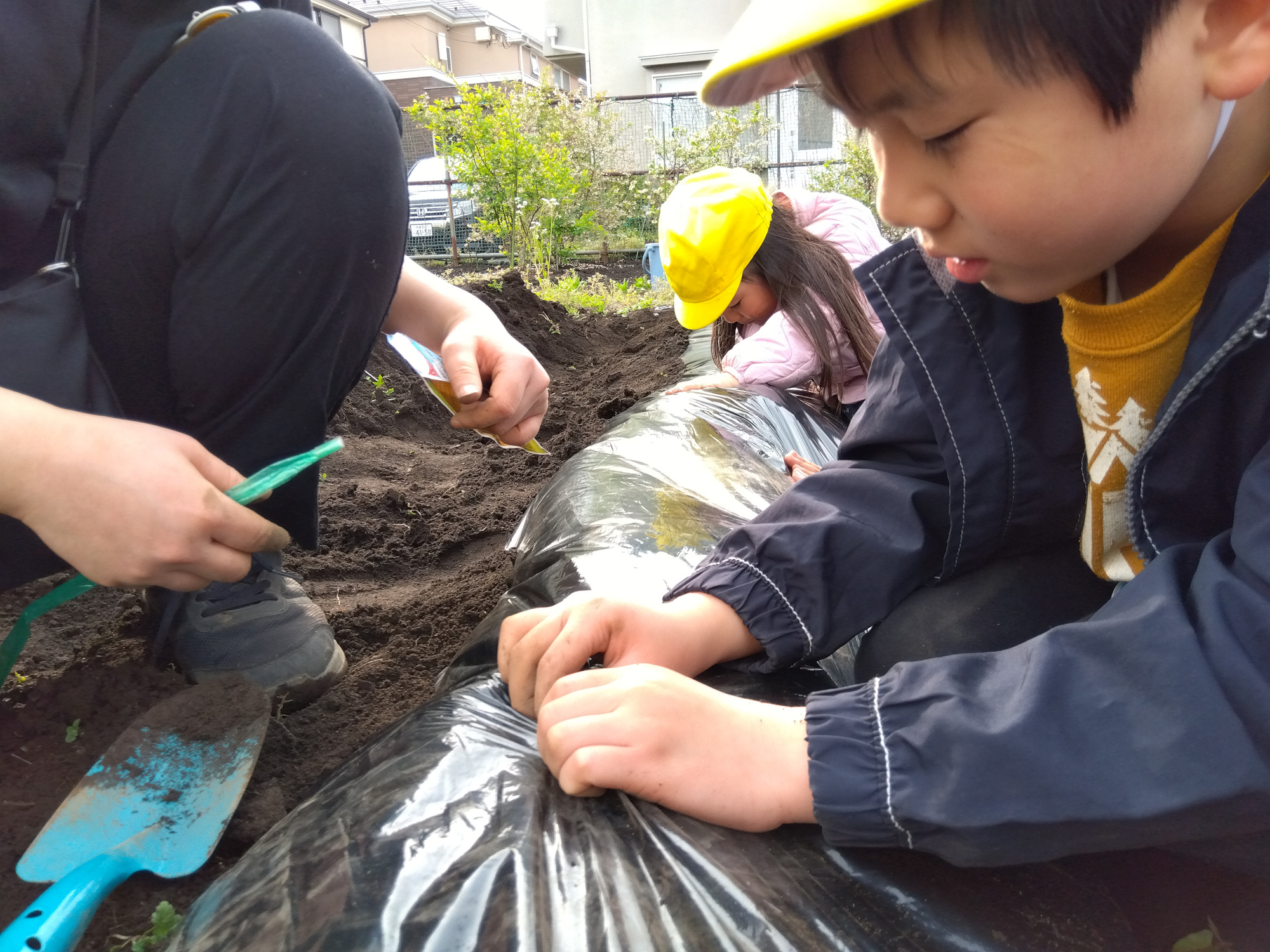 畑に苗を植える子どもたち
