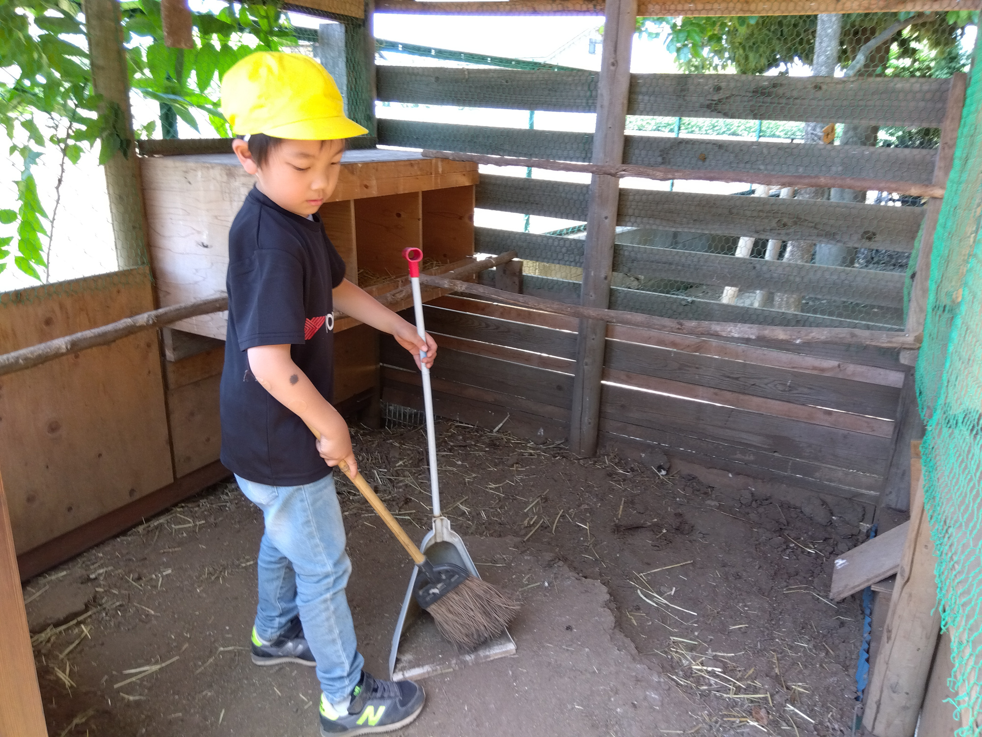 鶏小屋で掃き掃除をする子どもの様子
