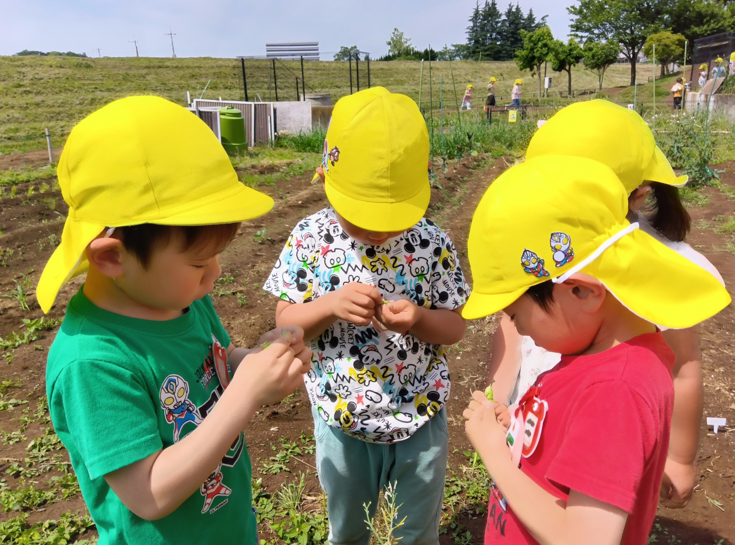 大根の種の小ささに驚く子どもたち