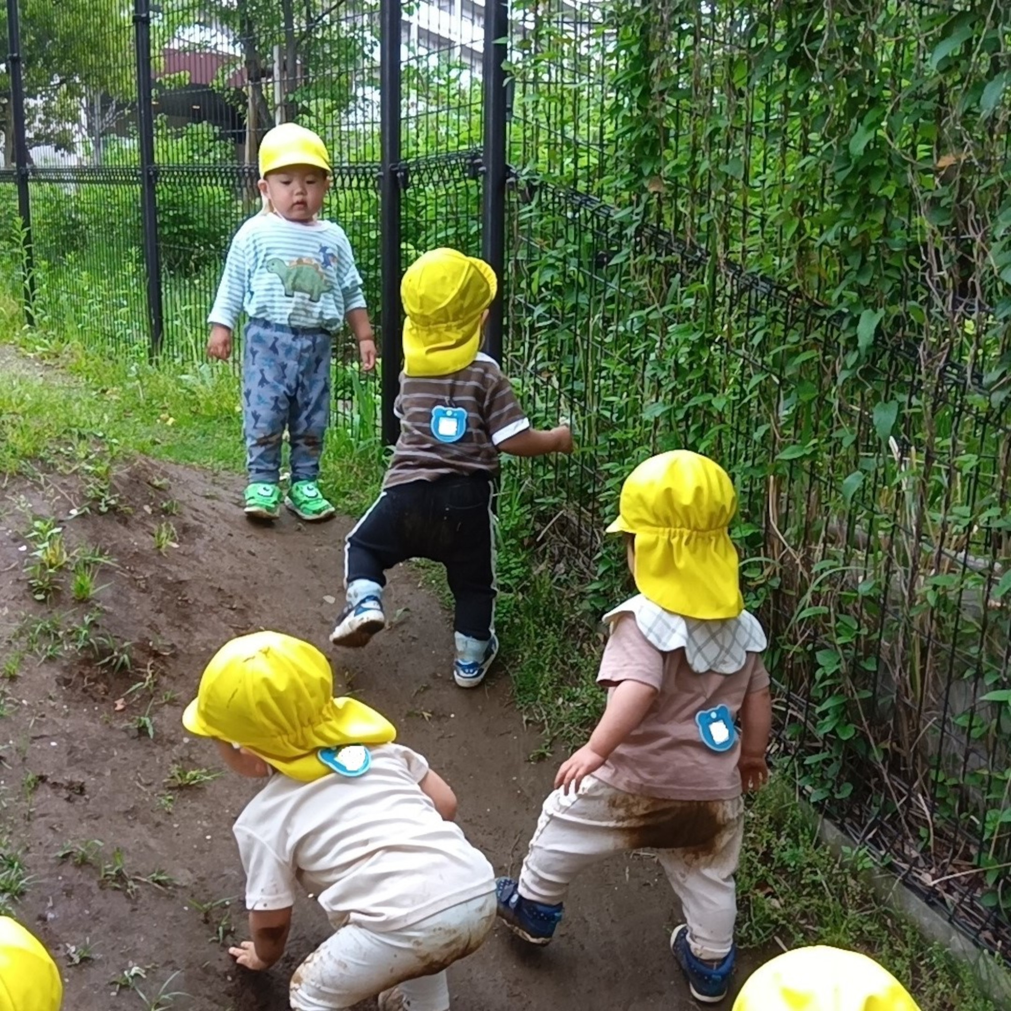 こどもたちが斜面をのぼる様子