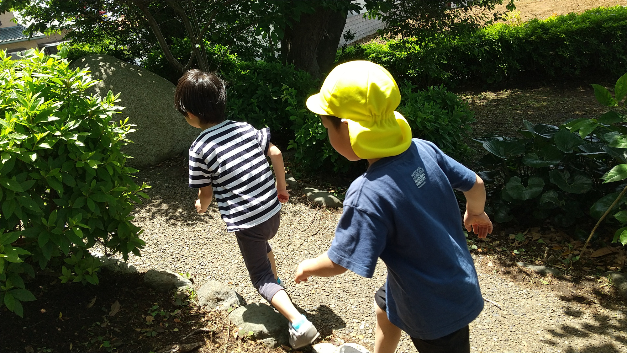 自然の中で遊ぶ子どもの様子