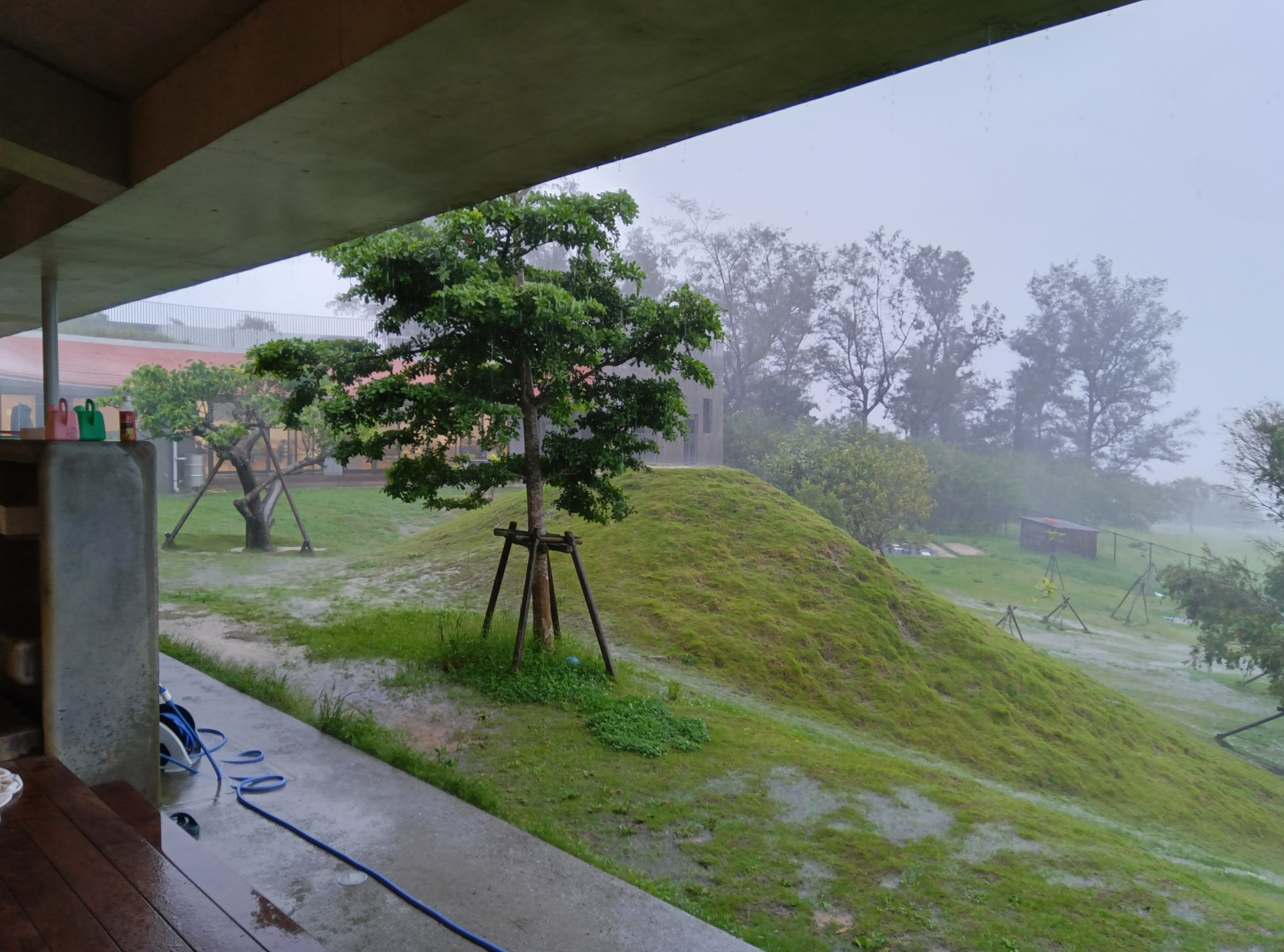 雨が降る園庭の写真