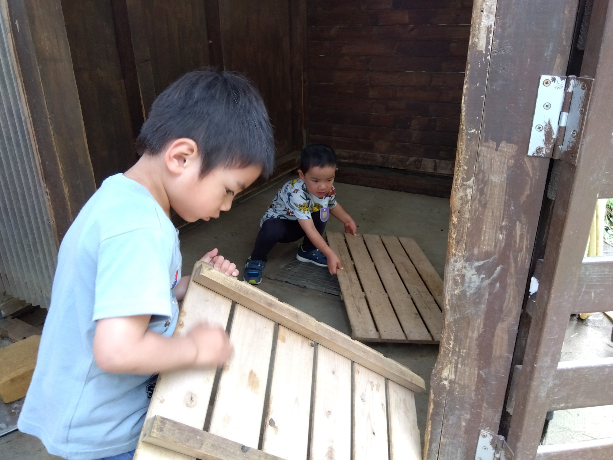 ヤギの小屋掃除
