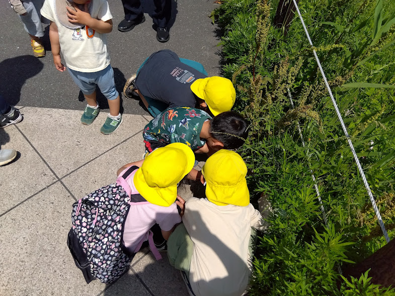 頭を寄せ合って虫を観察する子どもたち