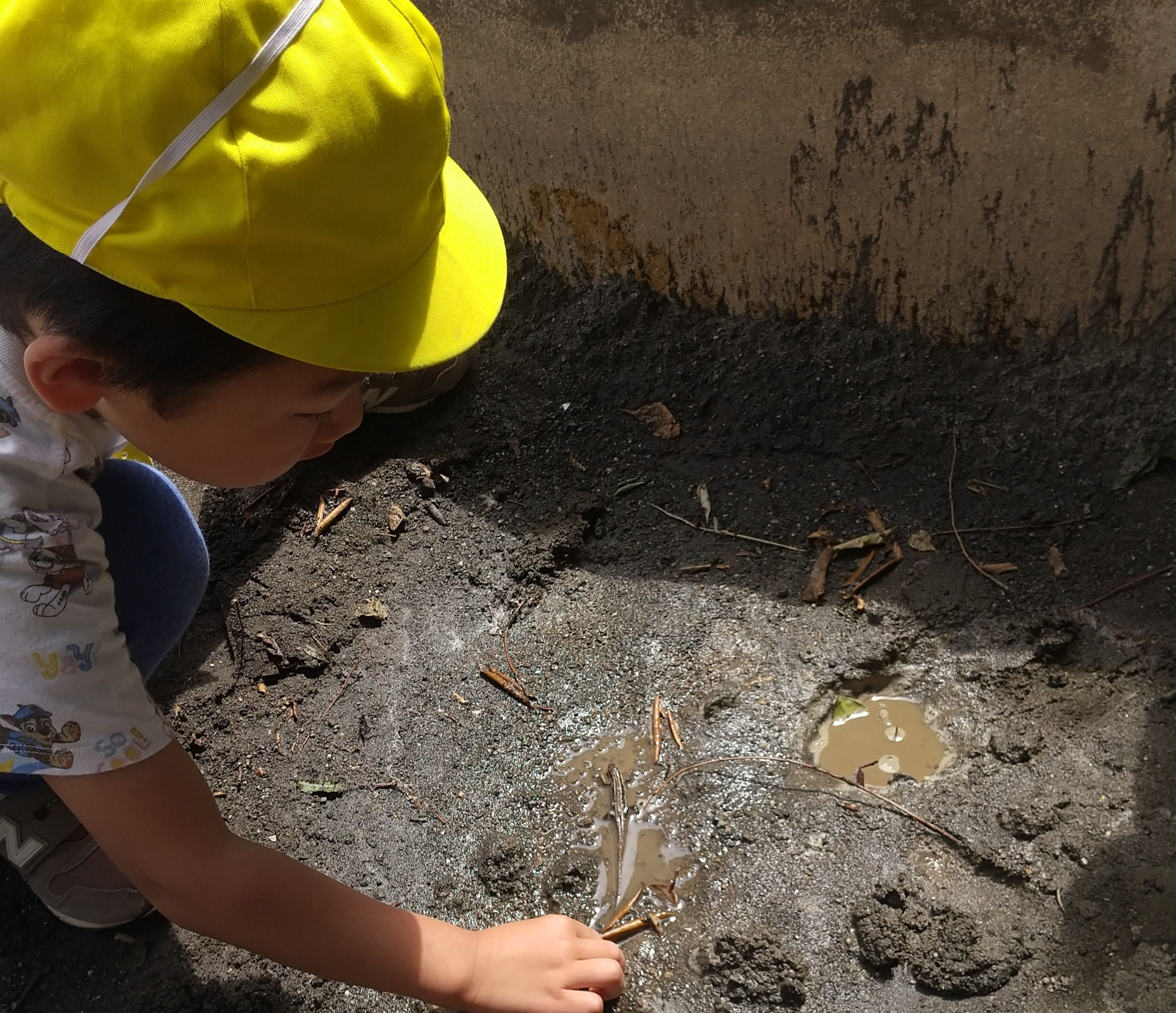 泥に触れて感触を確かめる子どもの様子