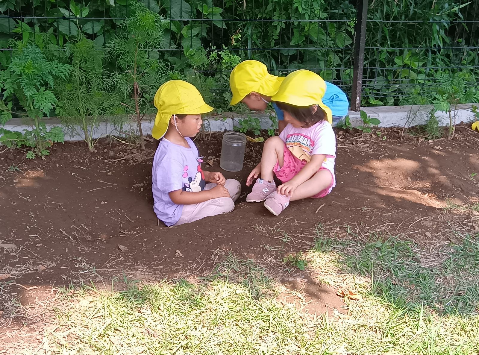 園庭の木陰で虫探しをする子どもたち