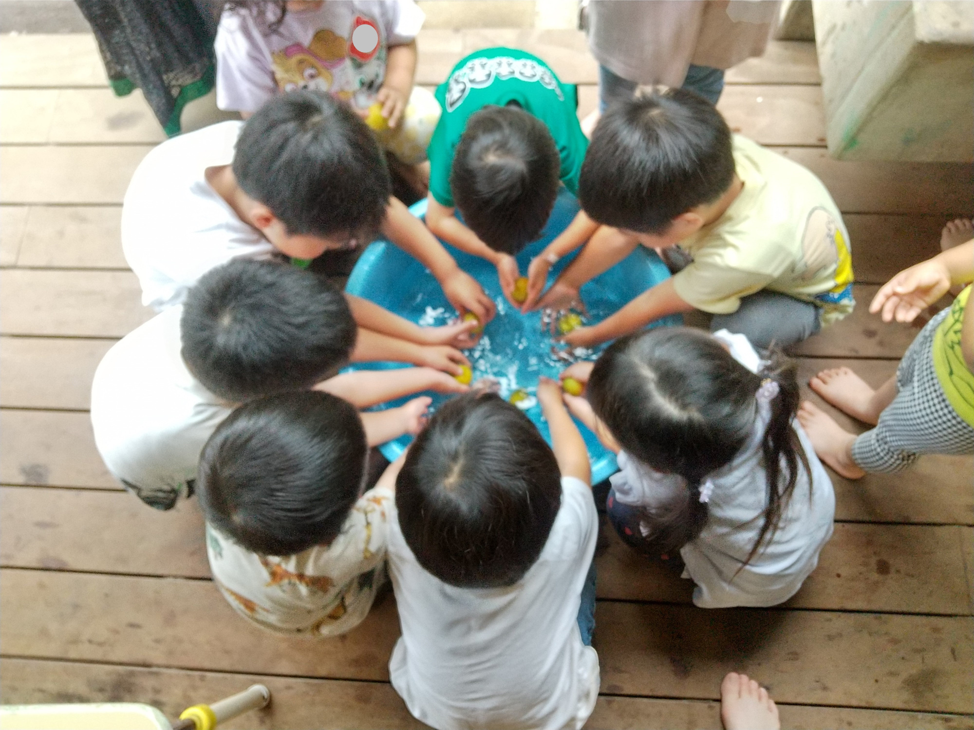 梅の実を洗う子どもたち