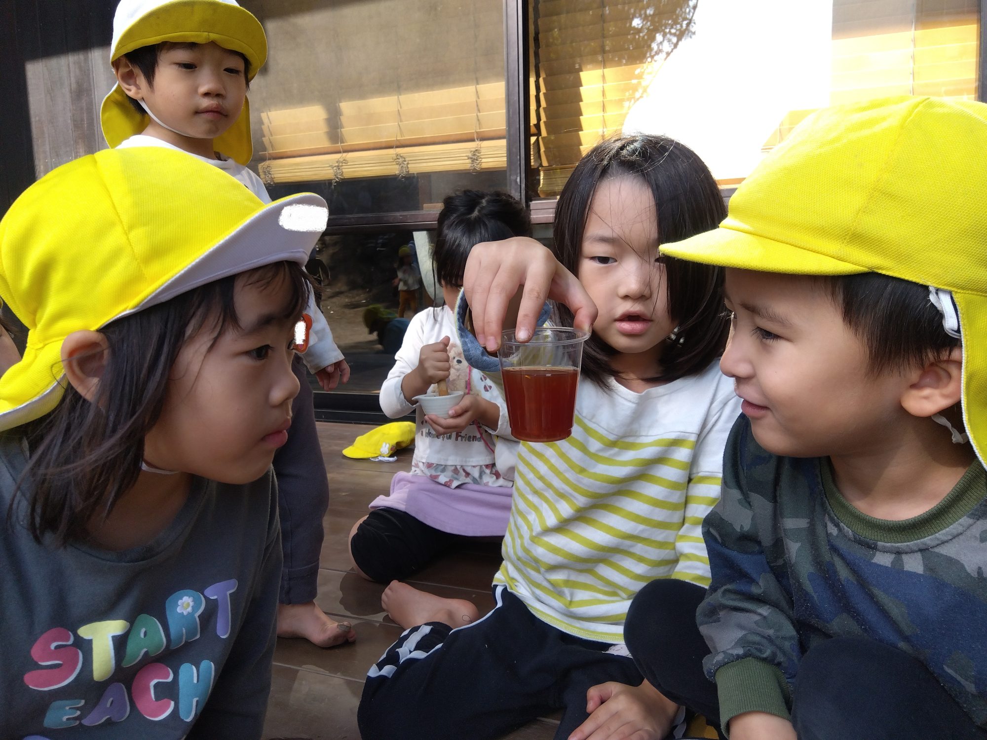 色水を混ぜて観察する子どもたち