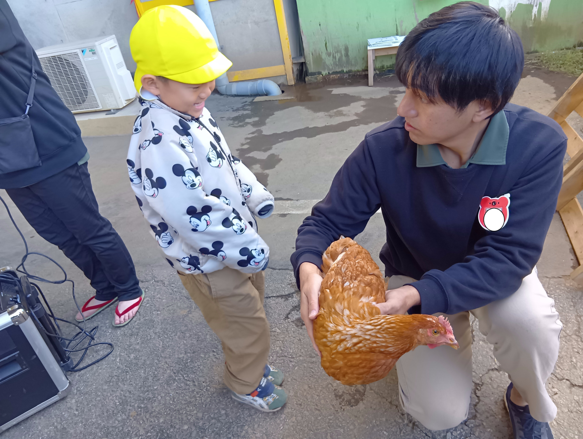 捌く鶏(園庭で飼育している鶏)を見せる様子