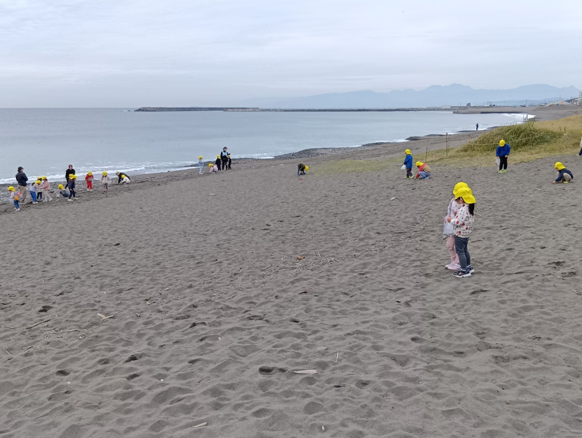海岸で遊ぶ