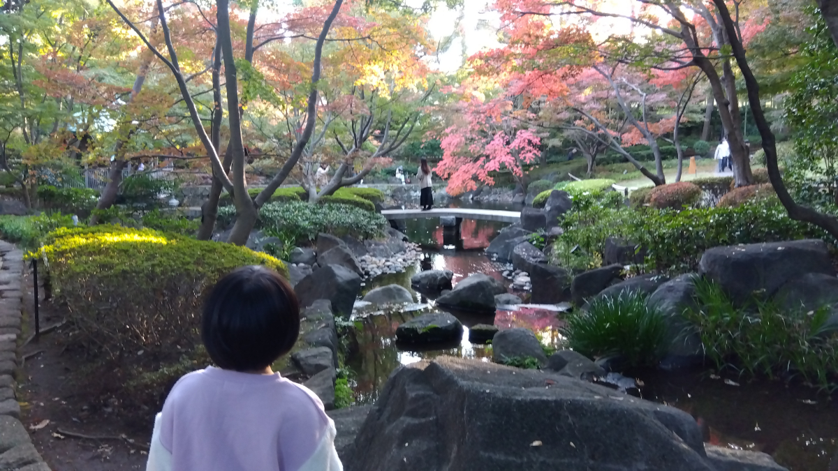 緑豊かな公園