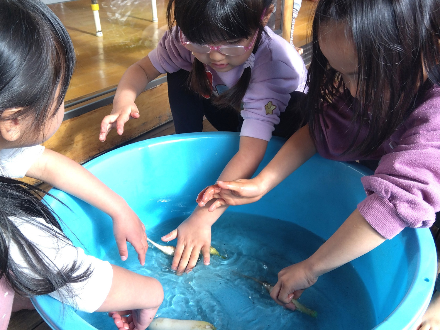 たらいの水で大根を洗う子どもたち